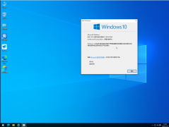 <b>WIN10专业版22H2优化</b>